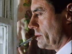 Ian McShane as Madson