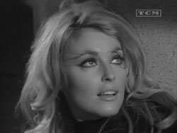 Sharon Tate  in Eye Of The Devil