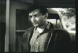 Rick Jason in The Wayward Bus - 1957