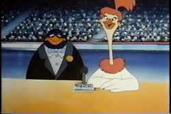 Animalympics - 1980