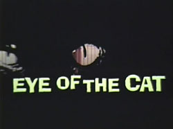 Eye Of The Cat (1969)