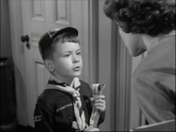 Mister Scoutmaster (1953)