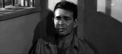 Signpost To Murder (1964)