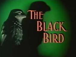 The Black Bird - 1975