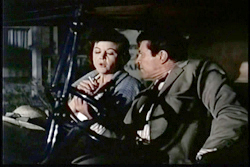 The Dark At The Top Of The Stairs - 1960