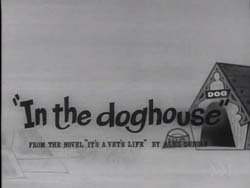 In The Doghouse - 1961