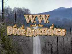 W.W. And The Dixie Dancekings - 1975