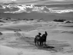 20 Mule Team - 1940