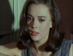 All The Fine Young Cannibals - 1960