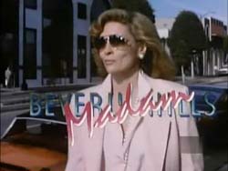 Beverly Hills Madam (1986)