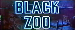 Black Zoo - 1963