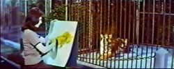 Black Zoo - 1963