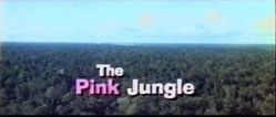 The Pink Jungle - 1968