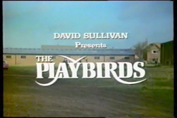The Playbirds - 1978